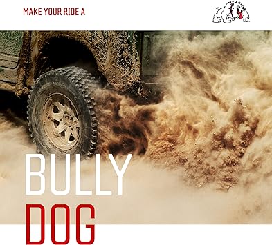 Bully Dog 33308 Custom A-pillar Mount, paintable, for GT with T-slot adapter GM
