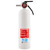FIRE EXTINGUISHER- 5BC W/