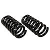 MOOG 81773 COIL SPRING SET