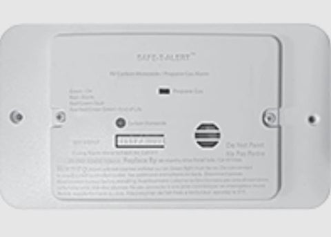 COMBINATION CARBON MONOXIDE/PROPANE