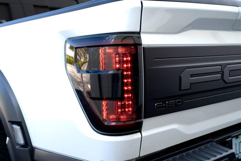 FORD F150 & RAPTOR 21-23 (REPLACES