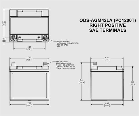 Odyssey Battery ODS-AGM42LA Battery Extreme Series Absorbed Glass Mat