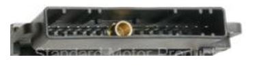 MODULE