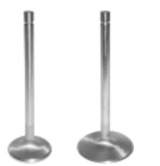 INTAKE VALVE SET OF 8