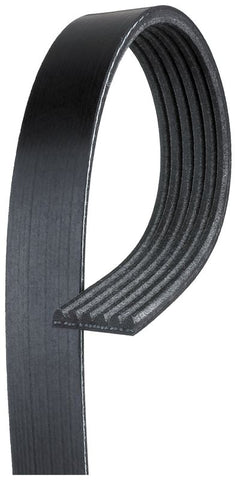 GATES CORP K061005 V-RIBBED BELT