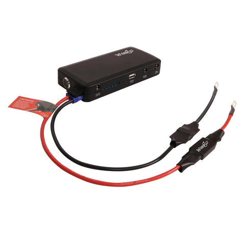 WEEGO JSPT524 POWERSPORT TETHER
