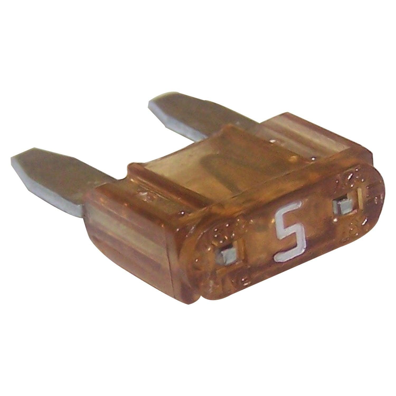 6101484.jpg