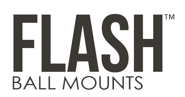 Flash-Logo.png