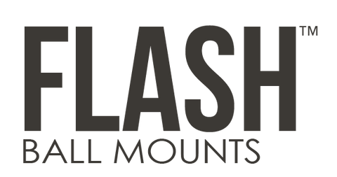 Flash-Logo.png
