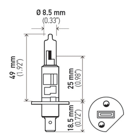 H83300002.PT01.jpg