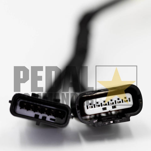 pc21-plug.jpg