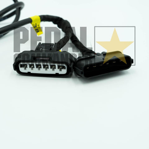pc38-plug.jpg