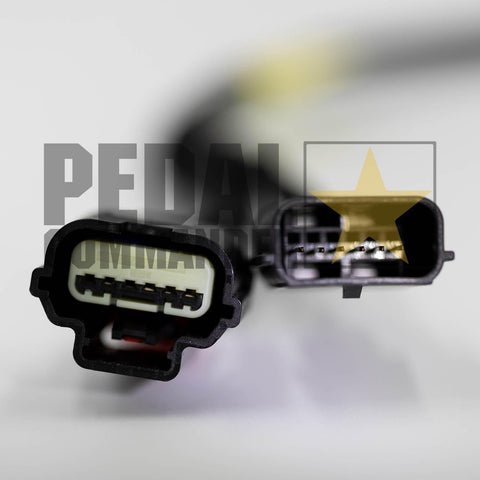 pc77-plug.jpg